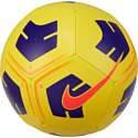 Nike Park Team CU8033-720 (5 размер, желтый)