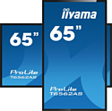 Iiyama ProLite T6562AS-B1