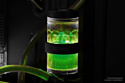 Alphacool Eiswasser Crystal Green UV-active 18545