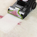 Bissell PowerWash Pet 3878N