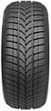 Taurus Winter 601 185/65 R15 92T