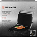 Brayer BR2008 