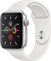 Apple Watch Series 5 44mm GPS Aluminum Case with Sport Band