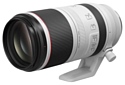 Canon RF 100-500mm f/4.5-7.1L IS USM