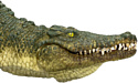 Konik Крокодил AMW2068