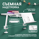 Anatomica Dunga Armata с надстройкой, органайзером и подставкой для книг (клен/серый/серый)