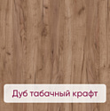 Millwood Лофт Мюнхен Л 120x70x75 (дуб табачный Craft-металл черный)