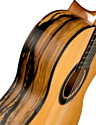 Alhambra Classical Conservatory 6 White Ebony 8.891V