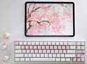 Varmilo Sword68 Sakura Kailh Prestige Voice (без кириллицы) Varmilo Sword68 Sakura Kailh Prestige Voice (без кириллицы)