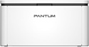 Pantum BP2300W