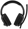 Skullcandy PLYR 1