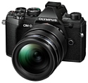 Olympus OM-D E-M5 Mark III Kit