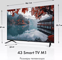 Haier 43 Smart TV M1