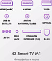 Haier 43 Smart TV M1