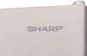 Sharp SJ-653GHXJ52R