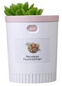 Witspace Succulents Humidifier