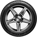 Nexen/Roadstone WinGuard WinSpike 3 195/60 R15 92T