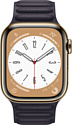 Apple Watch Series 8 LTE 45 мм (корпус из нержавеющей стали, кожаный ремешок)
