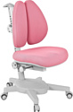 Anatomica Study-100 Lux + органайзер с розовым креслом Armata Duos (клен/серый)