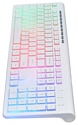 Oklick 490ML Multimedia Keyboard White USB