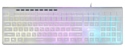 Oklick 490ML Multimedia Keyboard White USB