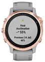 Garmin Fenix 6S Sapphire