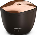 Sharp DF-A1E-T