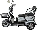 SHTENLI Model 31 SLA 20Ач48В (аккумулятор 4шт 20Ач12В)