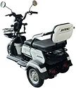 SHTENLI Model 31 SLA 20Ач48В (аккумулятор 4шт 20Ач12В)