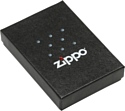 Zippo Skull 250