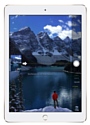 Apple iPad Pro 9.7 256Gb Wi-Fi + Cellular