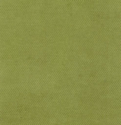 Голдоптима Диана 02 (белый/ткань зеленая)