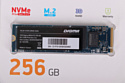 Digma Mega P3 256GB DGSM3256GP33T