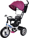 Trike Pilot PTA1 2020