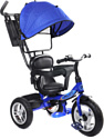 Trike Pilot PTA1 2020