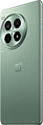 OnePlus Ace 3 Pro 12/256GB (китайская версия)