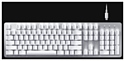 Razer Pro Type White US Layout