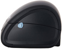 Mertech MPRINT LP58 EVA RS232-USB (черный) Mertech MPRINT LP58 EVA RS232-USB (черный)