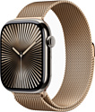 Apple Watch Series 10 LTE 46 мм (титановый корпус, миланский ремешок) Apple Watch Series 10 LTE 46 мм (титановый корпус, миланский ремешок)