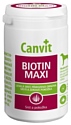 Canvit CanVit Biotin maxi