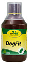 CdVet DogFit