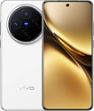 Vivo X200 12/256GB (международная версия)