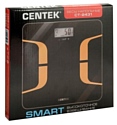 CENTEK CT-2431 Smart