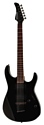 Fernandes Guitars RXX06