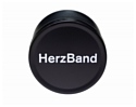 HerzBand Active Pro 2