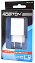 Robiton USB2100 (белый)