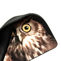 Dialog PM-H15 Owl
