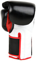 Fairtex BGV5 14 oz