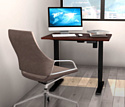 ErgoSmart Electric Desk Compact (дуб мореный/черный)