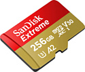 SanDisk Extreme microSDXC SDSQXA1-256G-GN6MN 256GB